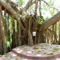 фото из отзыва ID 1605619