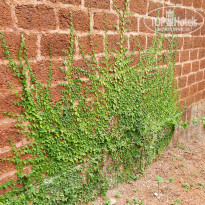 фото из отзыва ID 1605619