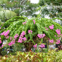 фото из отзыва ID 1605619