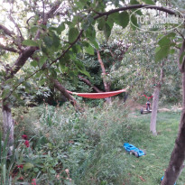 фото из отзыва ID 1605780