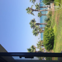 фото из отзыва ID 1606006