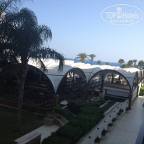 фото из отзыва ID 1606016