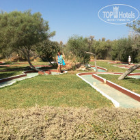 фото из отзыва ID 1606028