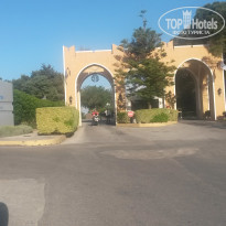 фото из отзыва ID 1606168