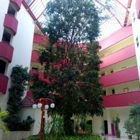 фото из отзыва ID 1606193