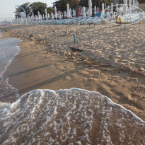 фото из отзыва ID 1606206