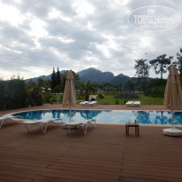 фото из отзыва ID 1606244