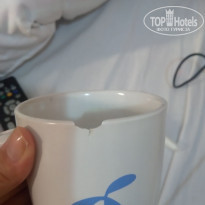 фото из отзыва ID 1606249