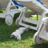 фото из отзыва ID 1606337