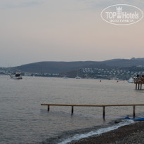 фото из отзыва ID 1606345