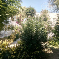 фото из отзыва ID 1606345