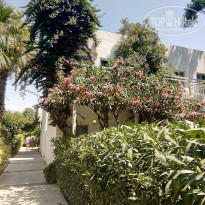 фото из отзыва ID 1606345