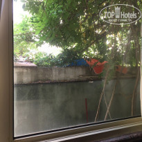 фото из отзыва ID 1606376