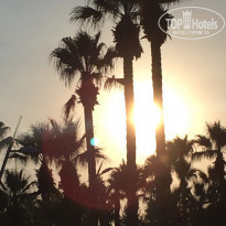 фото из отзыва ID 1606376