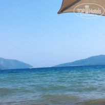 фото из отзыва ID 1606376