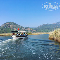 фото из отзыва ID 1606376