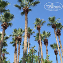 фото из отзыва ID 1606376