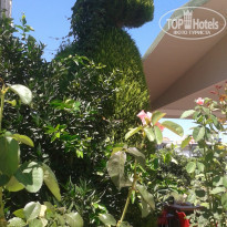 фото из отзыва ID 1603602