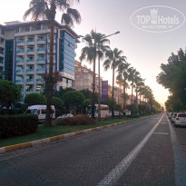 фото из отзыва ID 1606410