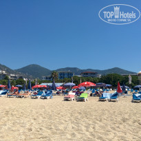 фото из отзыва ID 1606410