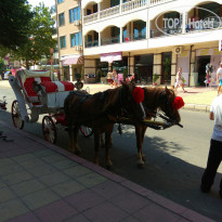 фото из отзыва ID 1606636