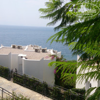 фото из отзыва ID 1606737