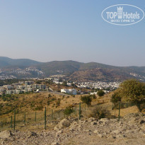 фото из отзыва ID 1606737