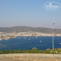 фото из отзыва ID 1606737