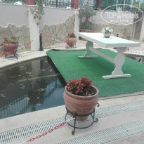 фото из отзыва ID 1606794