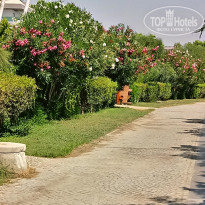 фото из отзыва ID 1606838