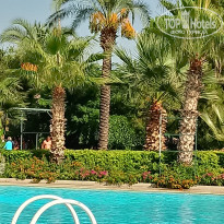 фото из отзыва ID 1606838