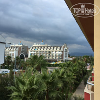 фото из отзыва ID 1606867