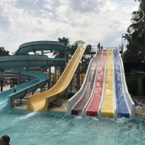 фото из отзыва ID 1606962