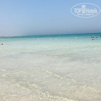 фото из отзыва ID 1607163