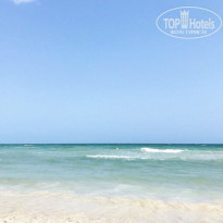 фото из отзыва ID 1607163