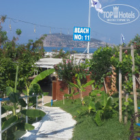 фото из отзыва ID 1607197