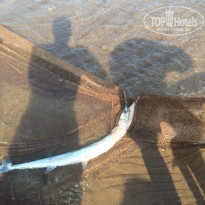 фото из отзыва ID 1607338