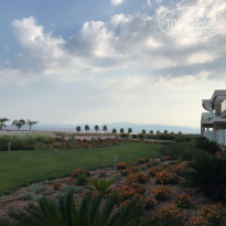 фото из отзыва ID 1607425