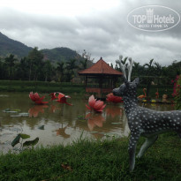 фото из отзыва ID 1607446