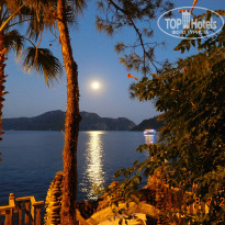 фото из отзыва ID 1607572