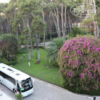 фото из отзыва ID 1607604