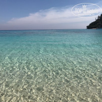 фото из отзыва ID 1607298