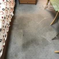 фото из отзыва ID 1607697