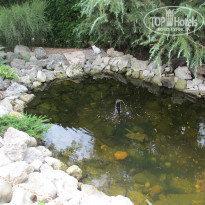 фото из отзыва ID 1607861