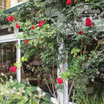 фото из отзыва ID 1607861