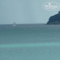 фото из отзыва ID 1607861