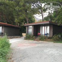 фото из отзыва ID 1607867