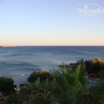 фото из отзыва ID 1607886