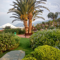 фото из отзыва ID 1608048