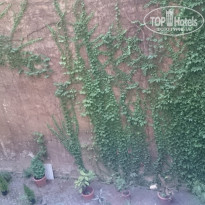 фото из отзыва ID 1608080